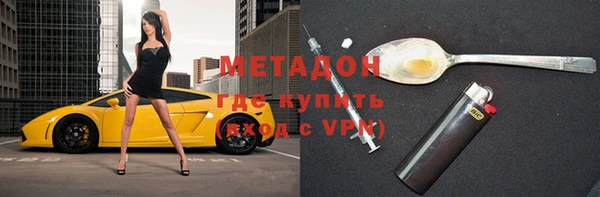 индика Алексин