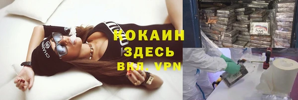 индика Алексин