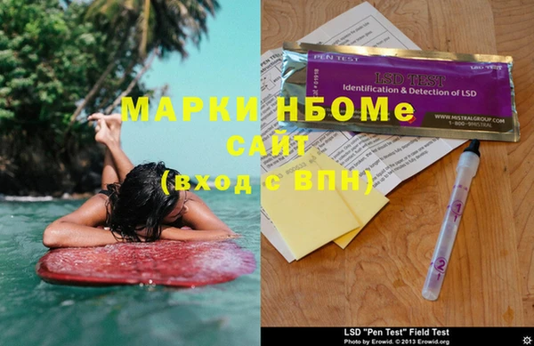 индика Алексин