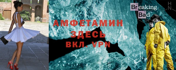 индика Алексин