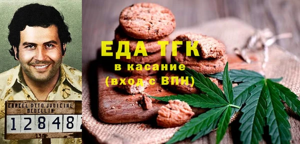 индика Алексин