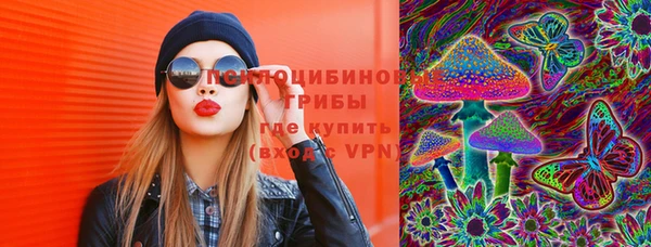 индика Алексин